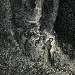 Selva Oscura (A Dark Wood)