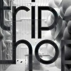 Trip Hop