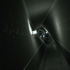 Visage