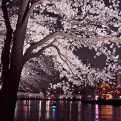 BARRI X Spÿdaa - Forevernalways