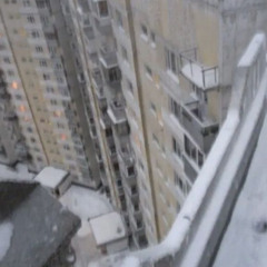 лезвие сеул – надежда