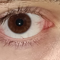 Evil Pimp Ride On Dat Hoe Hollywood Slim Diss (Snippet)