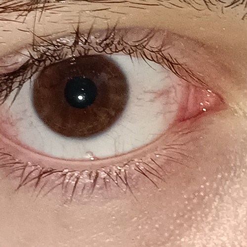 Evil Pimp Ride On Dat Hoe Hollywood Slim Diss (Snippet)