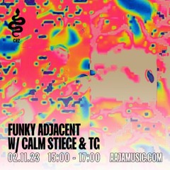 FUNKY ADJACENT with Calm Stiege & TG - Episode #16 (2/11/23)