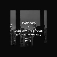 xxplosive x between the sheets
