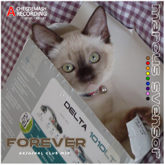 Forever [Original Club Mix]