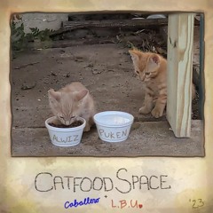 Catfood Space