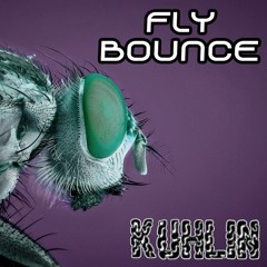 Fly Bounce