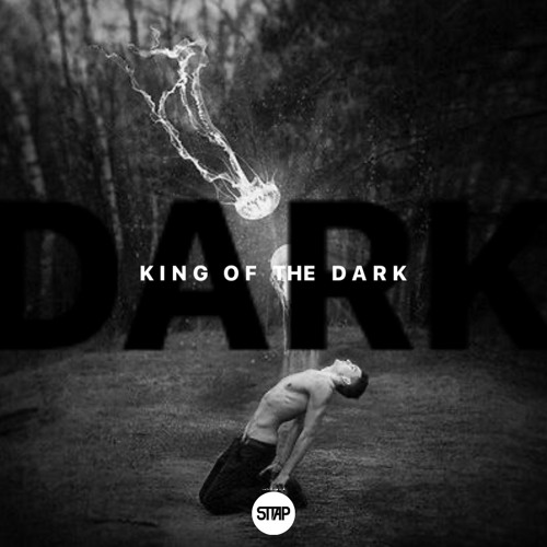 King in the Dark