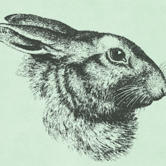 Hares on the Mountain (cover)