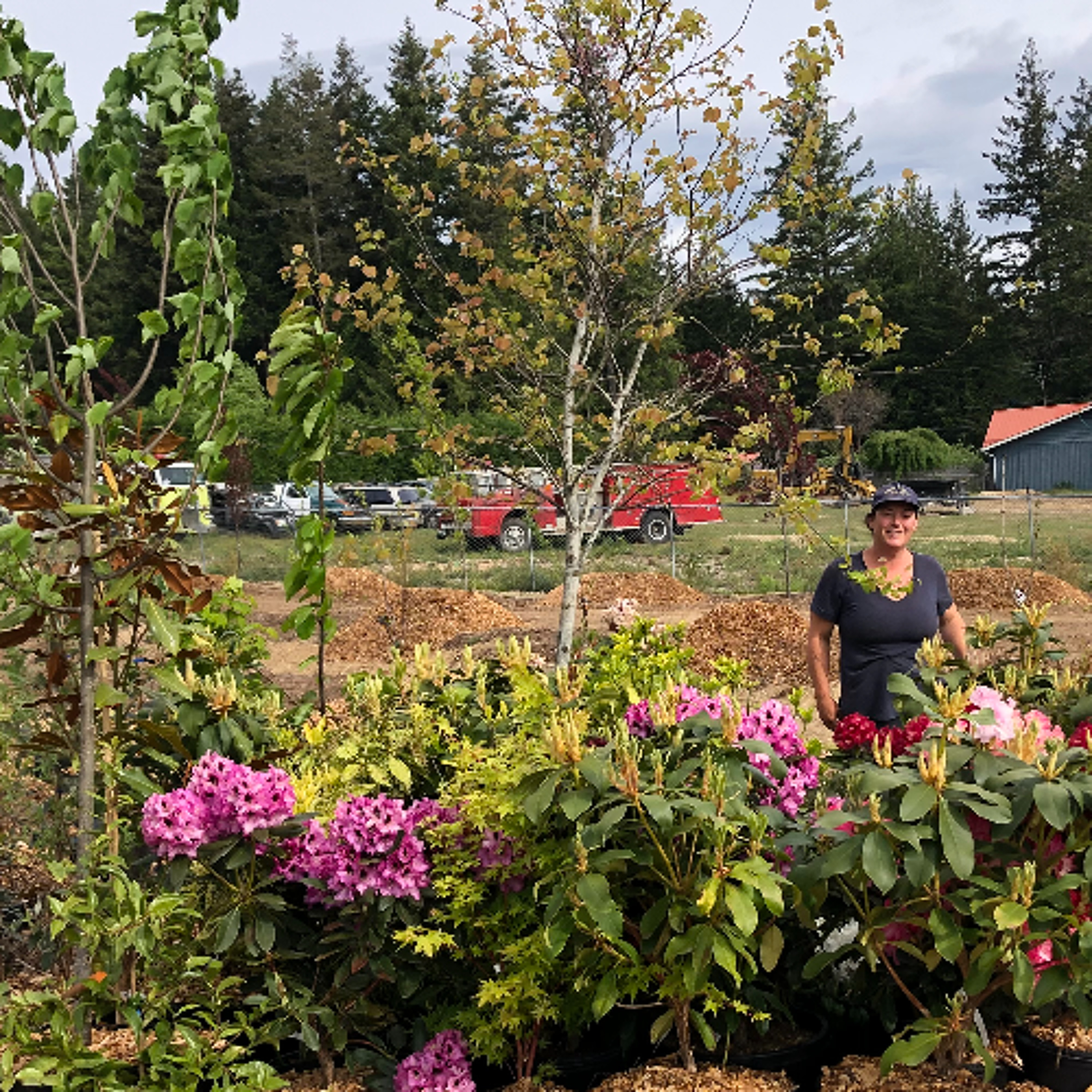 The Permaculture Design at Rainbow Ridge episode artwork