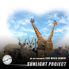 We Are Dreamers (Joe Meils Radio Edit)
