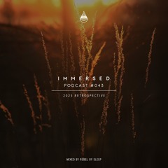 Immersed Podcast #043 | 2025 Retrospective