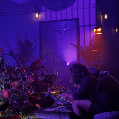 PHOTOSYNTHESIS [live set]