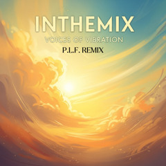InTheMix - Voices of Vibration (P.L.F. Remix)