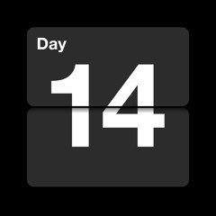 Day 14 - Myco Molassi's Calendar of Sound