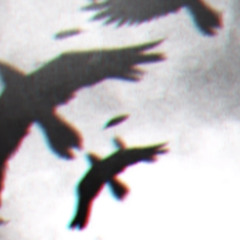 7-2-2022 - Tripleb3eam1 - 138BPM (Ether X Run617)