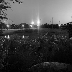 12. Severed Carapace