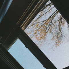 daydreamer