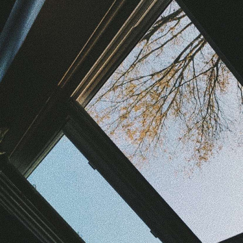 daydreamer