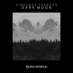 Vincenzo Tedesco - Dark Without Moon (Original Mix)__SNSF038