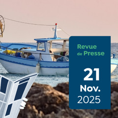 Revue de presse Capitaine Carbone #185 - 21 novembre 2025