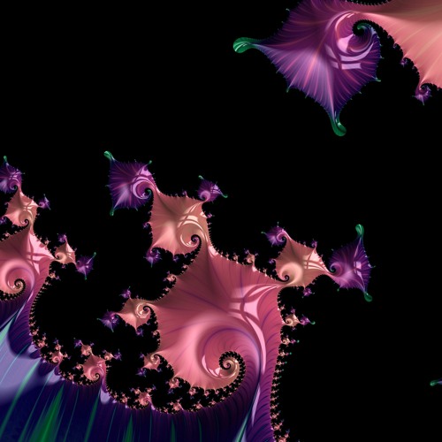 digital BLOOM - yeet