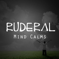 Mind Calms