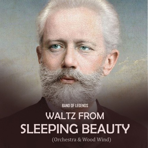 Stream Waltz from Sleeping Beauty (Wood Wind) by Band Of Legends ...