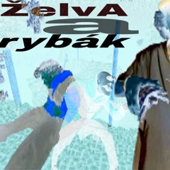 Želva a rybák