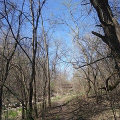 A Collection Of Poorly Tuned Guitars Recorded On A Phone