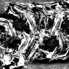 PARALYSED [HXLX SAMPLE CHALLENGE #1 ENTRY]