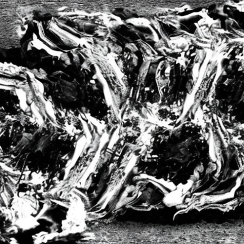 PARALYSED [HXLX SAMPLE CHALLENGE #1 ENTRY]