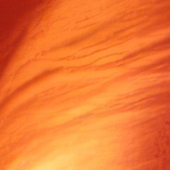 feathers (prod. 1jowisen)