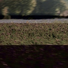 Semi Analoqique Plant System