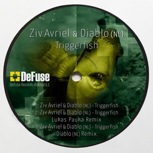 Triggerfish ZIV AVRIEL AND DIABLO (NL) ORIGINAL