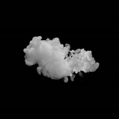 PREMIERE : Stiven Escarraga - Land Trust [Self-release]