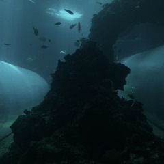 Submarine trépidation