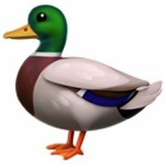 DLC