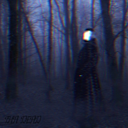 MIST FOREST