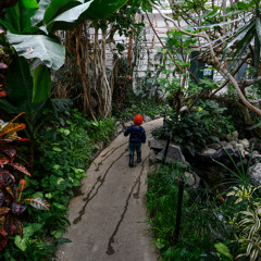 untitled_wwwbzy_short_208