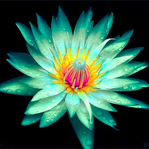 WHAT U GIVE AWAY U GET 2 KEEP