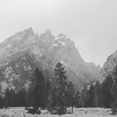 something has to change (cover) - the japanese house