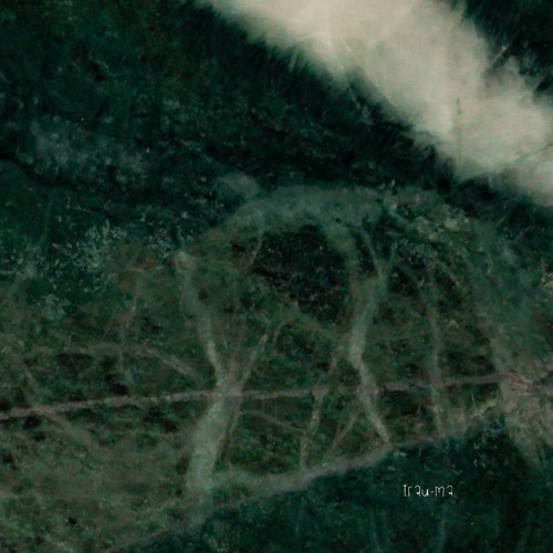 Graham Lynn - Hollow Shell (Original Mix) [TRM305]