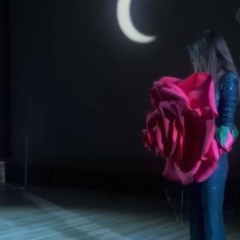 Freak show - Ballad of a Withering Rose