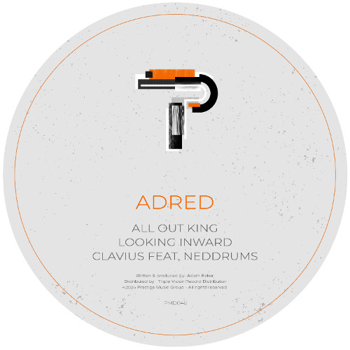 Looking Inward - PMD046B