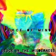 Peace of Mind (Instrumental)