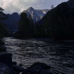 CARNEVIVA (feat.Baisse)