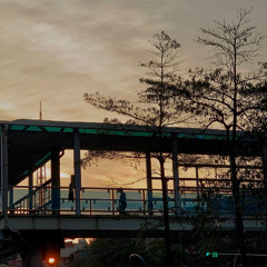 Bước Qua Mùa Cô Đơn - Vũ | phụng cover