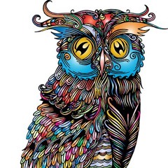 Kayah & Goran Bregovic - To Nie Jest Ptak (Czarny Ptak Edit)